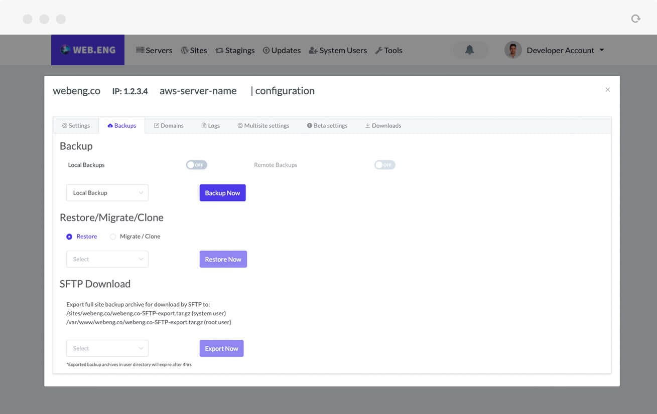 Web.Eng console – WordPress Website Layer – Backups