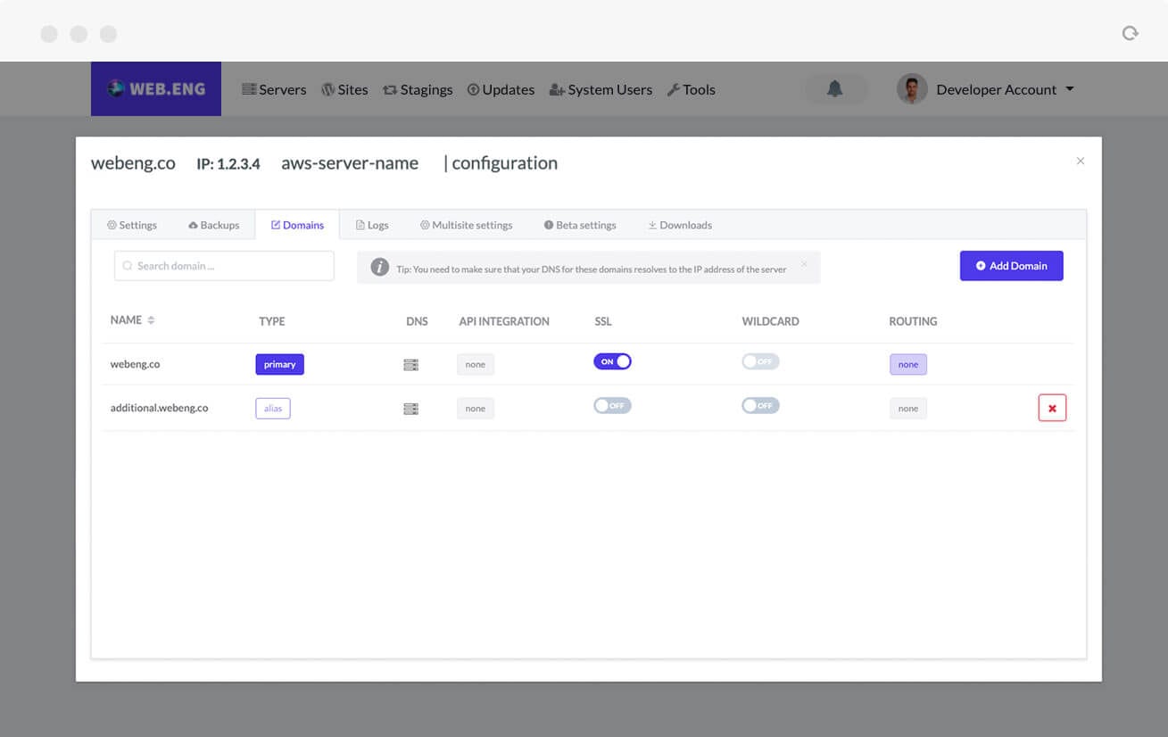 Web.Eng console – WordPress Website Layer – Domains